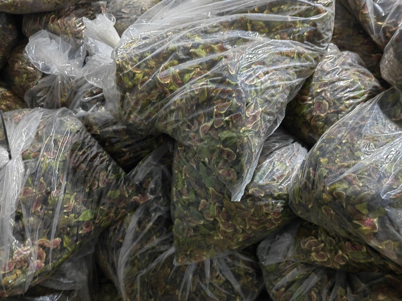 威海青皮无花果