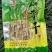 临安野笋干250克/包高山石笋干低盐竹笋干批发代发