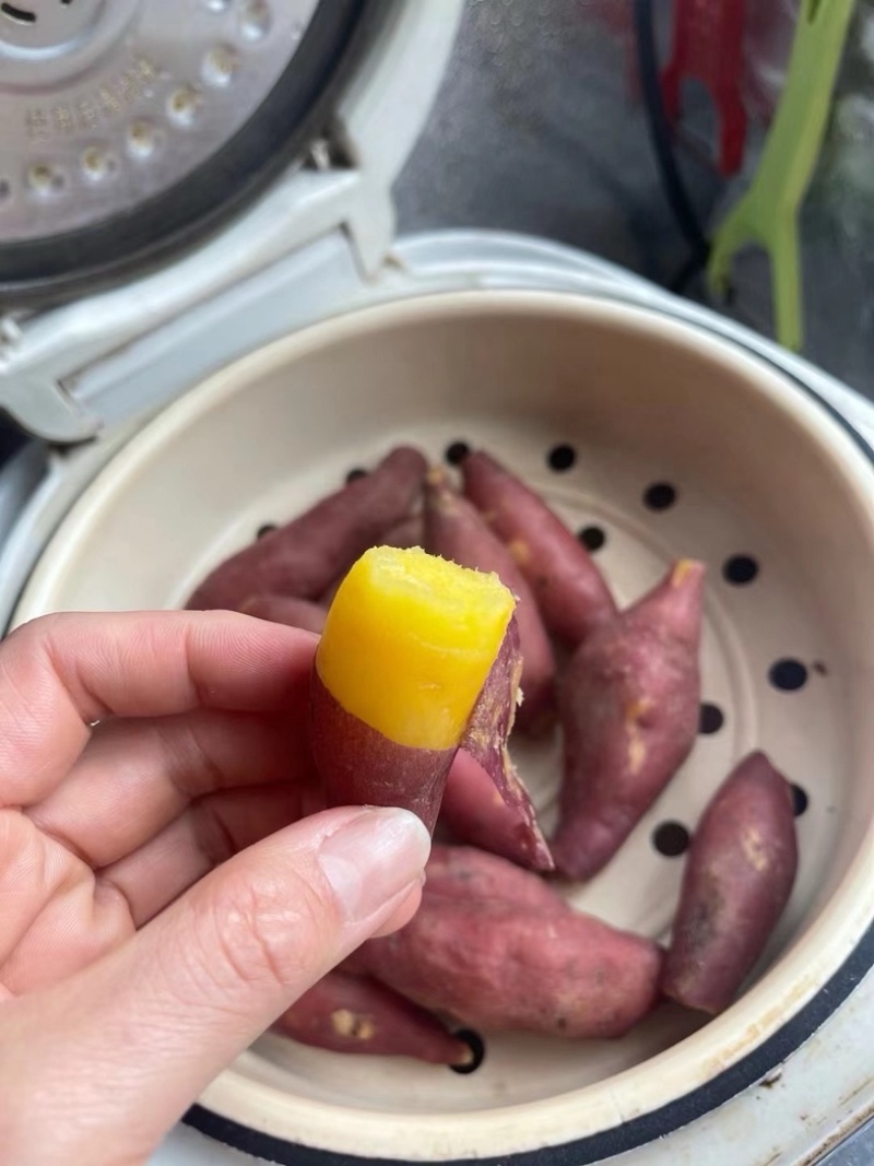 海南沙地小香薯天目小香薯批发代发
