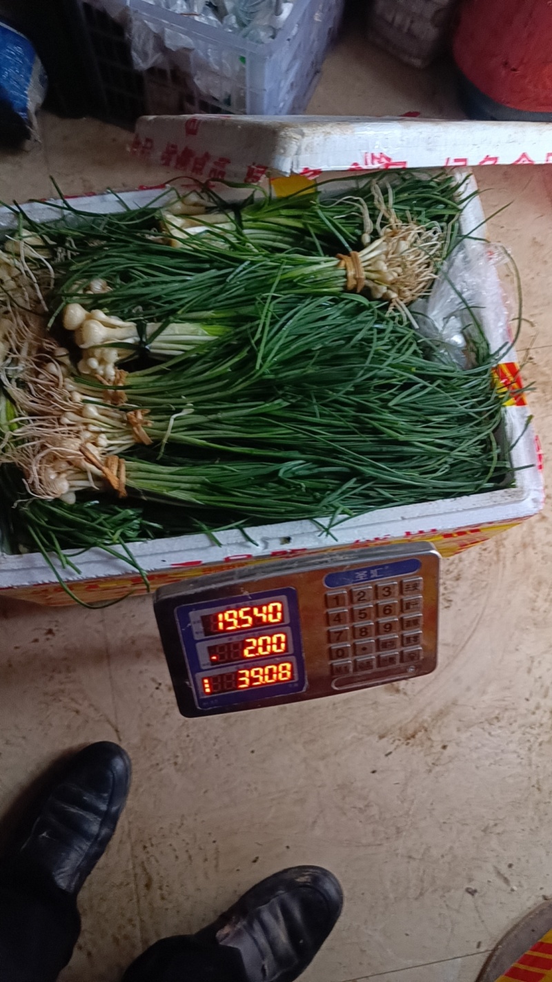 胡葱又名野藠头，纯野生大自然馈赠的清香佐料。大城市非常喜