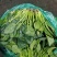 【实力商家】产地直发【诚实守信】价格合理【全国发货】菠菜好吃