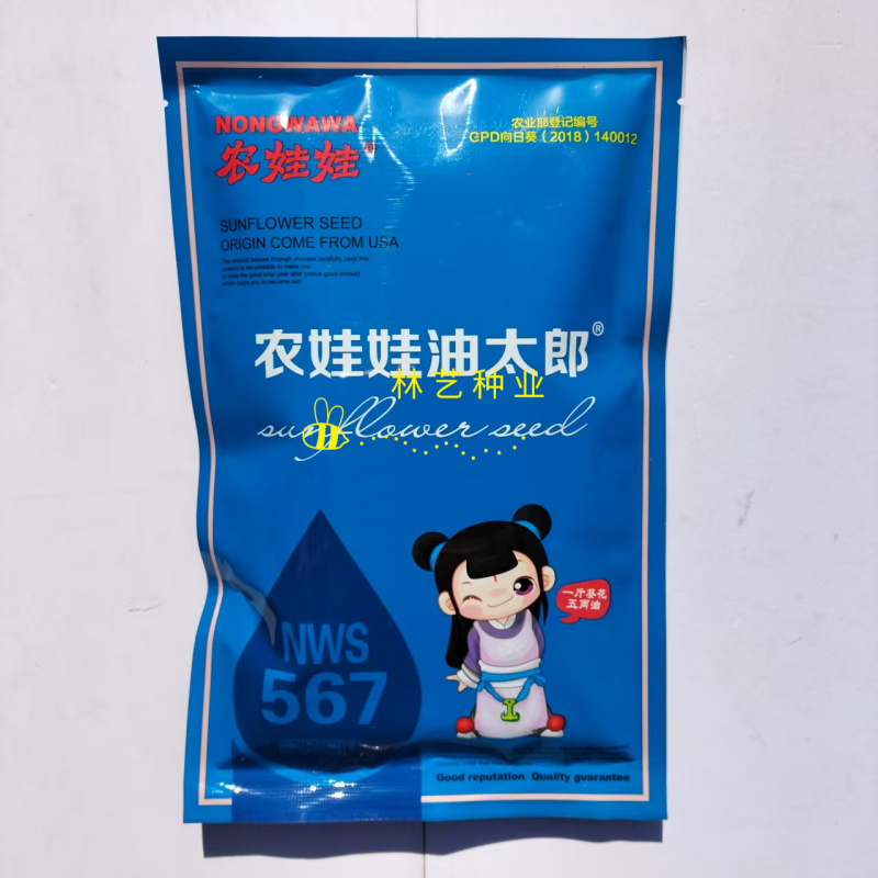 农娃娃油太郞向日葵种子NWS567三系油葵种籽抗病春季播