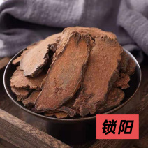 正品新货精选锁阳片