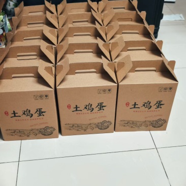 肥西老母鸡土鸡蛋乌鸡蛋