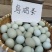 肥西老母鸡土鸡蛋乌鸡蛋