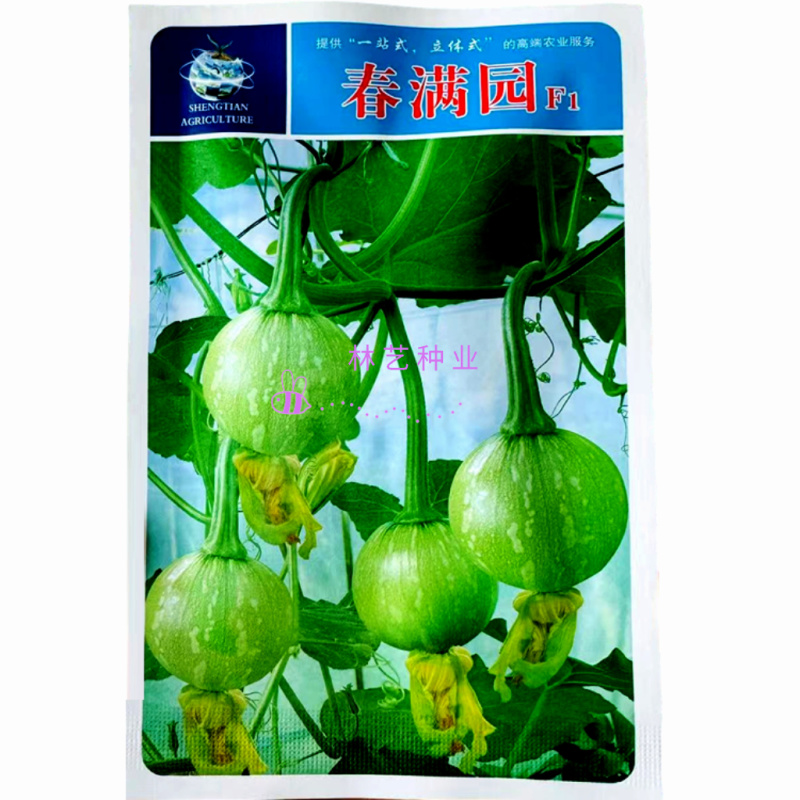 春满园南瓜种子杂交一代早熟小南瓜种子口感脆嫩爬藤食用嫩瓜