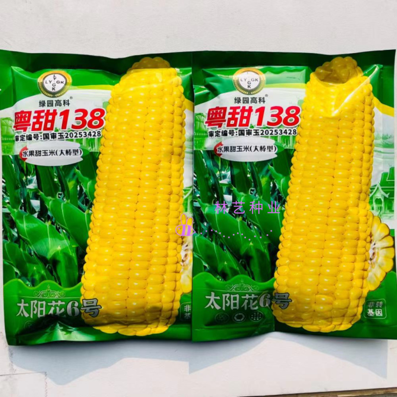 粤甜138水果甜玉米种子太阳花6号鲜食黄玉米种籽春秋播种