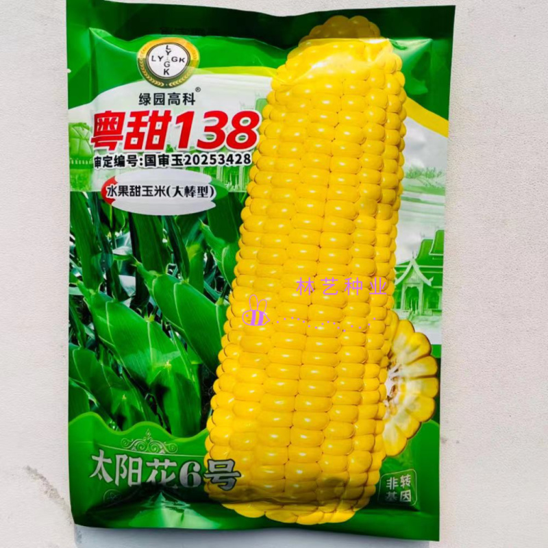 粤甜138水果甜玉米种子太阳花6号鲜食黄玉米种籽春秋播种