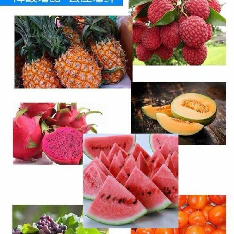 甜蜜素果树真甜