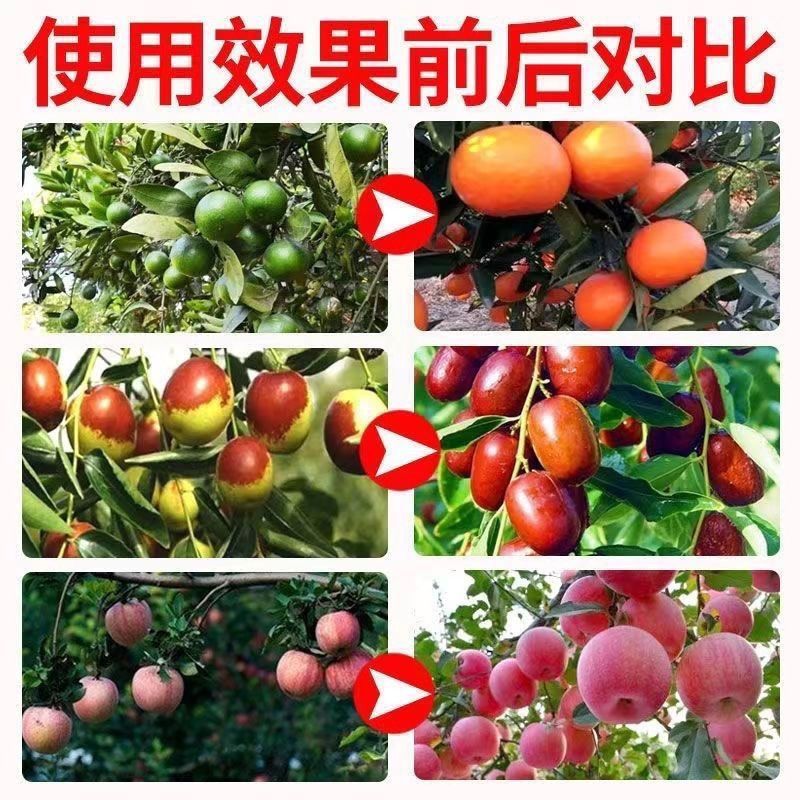 甜蜜素果树真甜