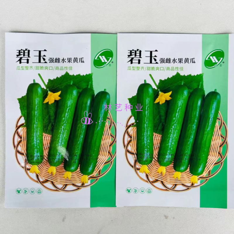 碧玉强雌水果黄瓜种子中早熟短棒型刺少肉厚味甜黄瓜种籽