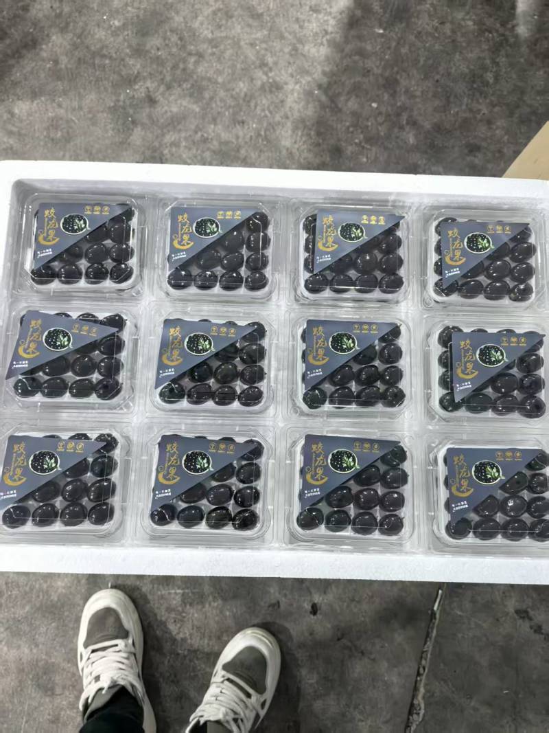 【精品】蛟龙果/树葡萄/珍宝果大量供应新鲜分拣各种包规格