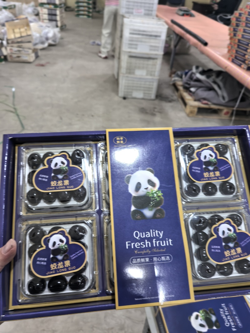 【精品】蛟龙果/树葡萄/珍宝果大量供应新鲜分拣各种包规格