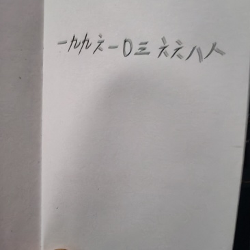 白萝卜