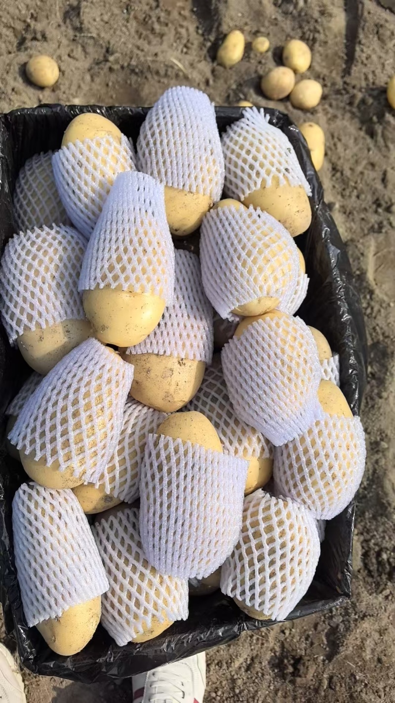 岐冠农业精品黄心土豆