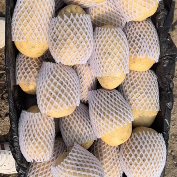 岐冠农业精品黄心土豆