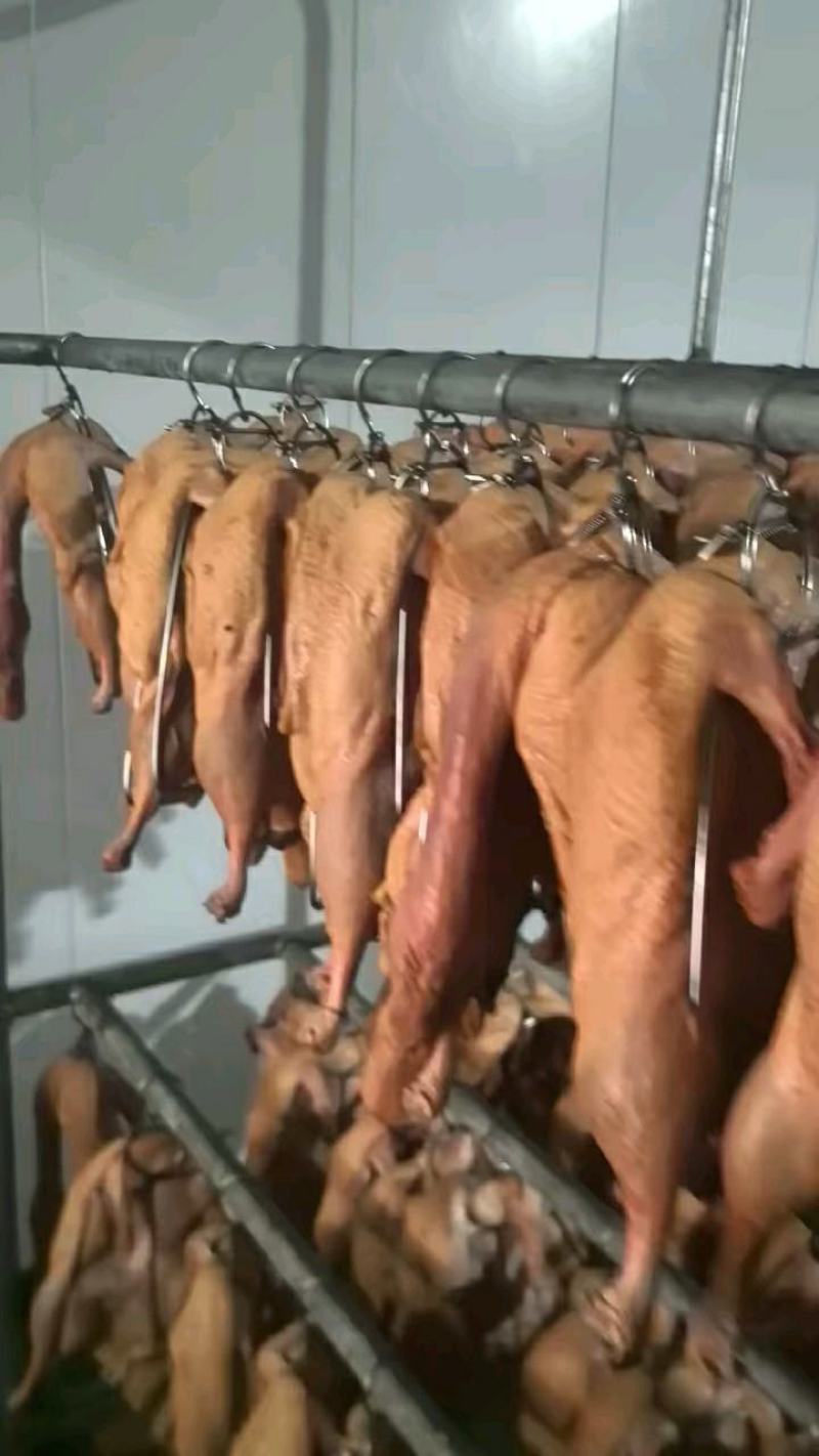 烤鸭半成品，无需腌制，直接烤，省时省力