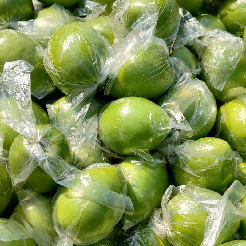 青枣,中叶枣