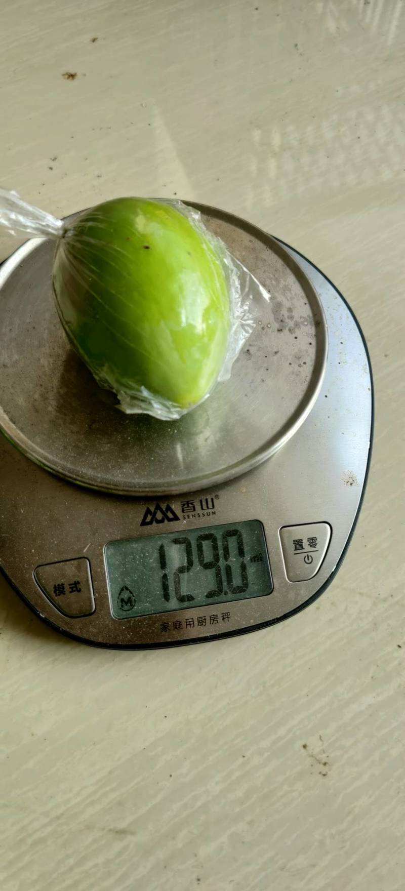 青枣,中叶枣