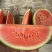 云南小玲西瓜大量上市.质量好需要的联系