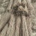 榆树苗1~10cm。产地供应裸根土球均可操作。