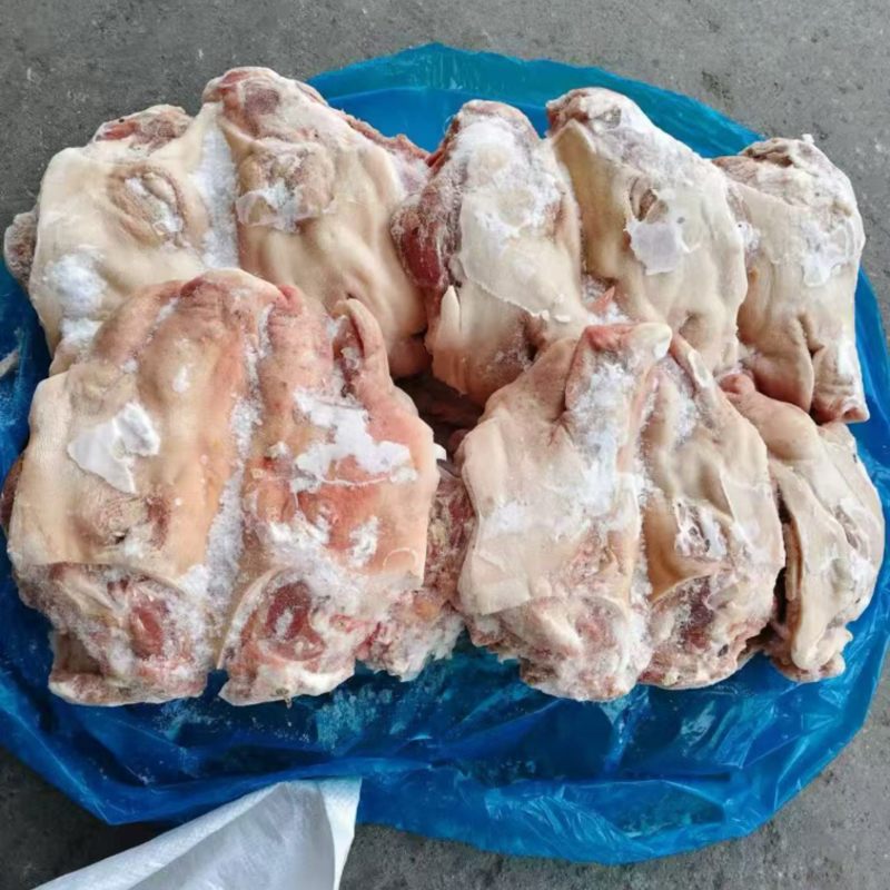 无耳猪头