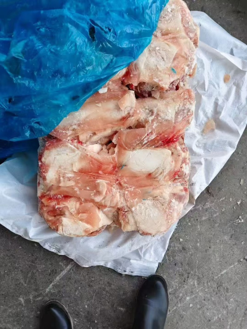 无耳猪头