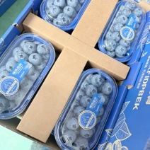 丹东L11蓝莓精品8合一价格美丽欢迎选购