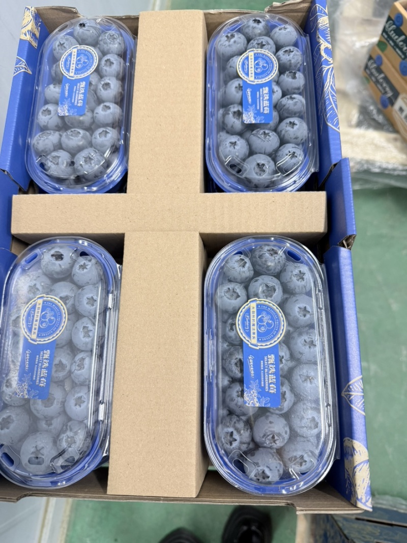 丹东L11蓝莓精品8合一价格美丽欢迎选购