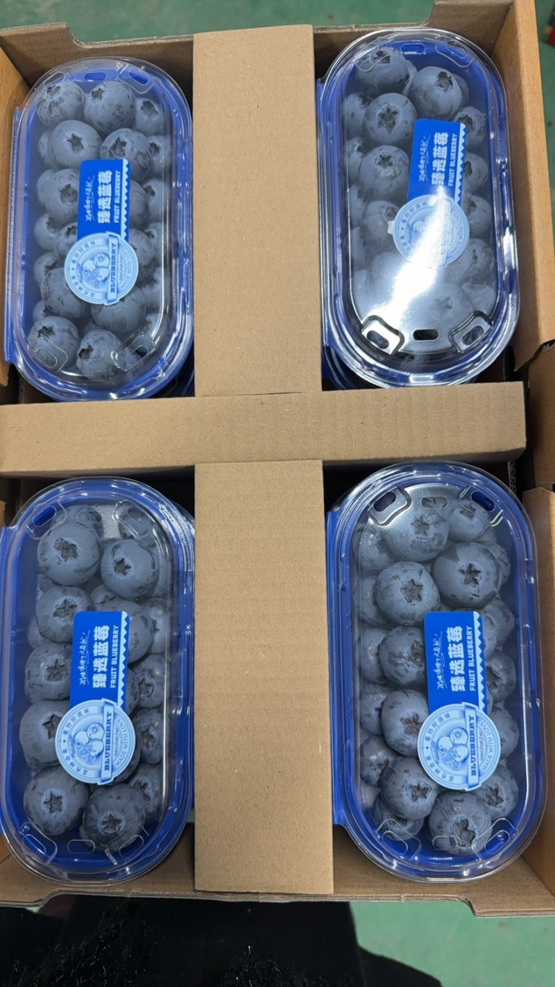 丹东L11蓝莓精品8合一价格美丽欢迎选购