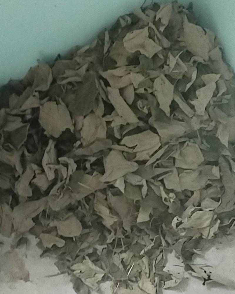 湖南省新化县大熊山林场山货石蒜6元石菖蒲35元