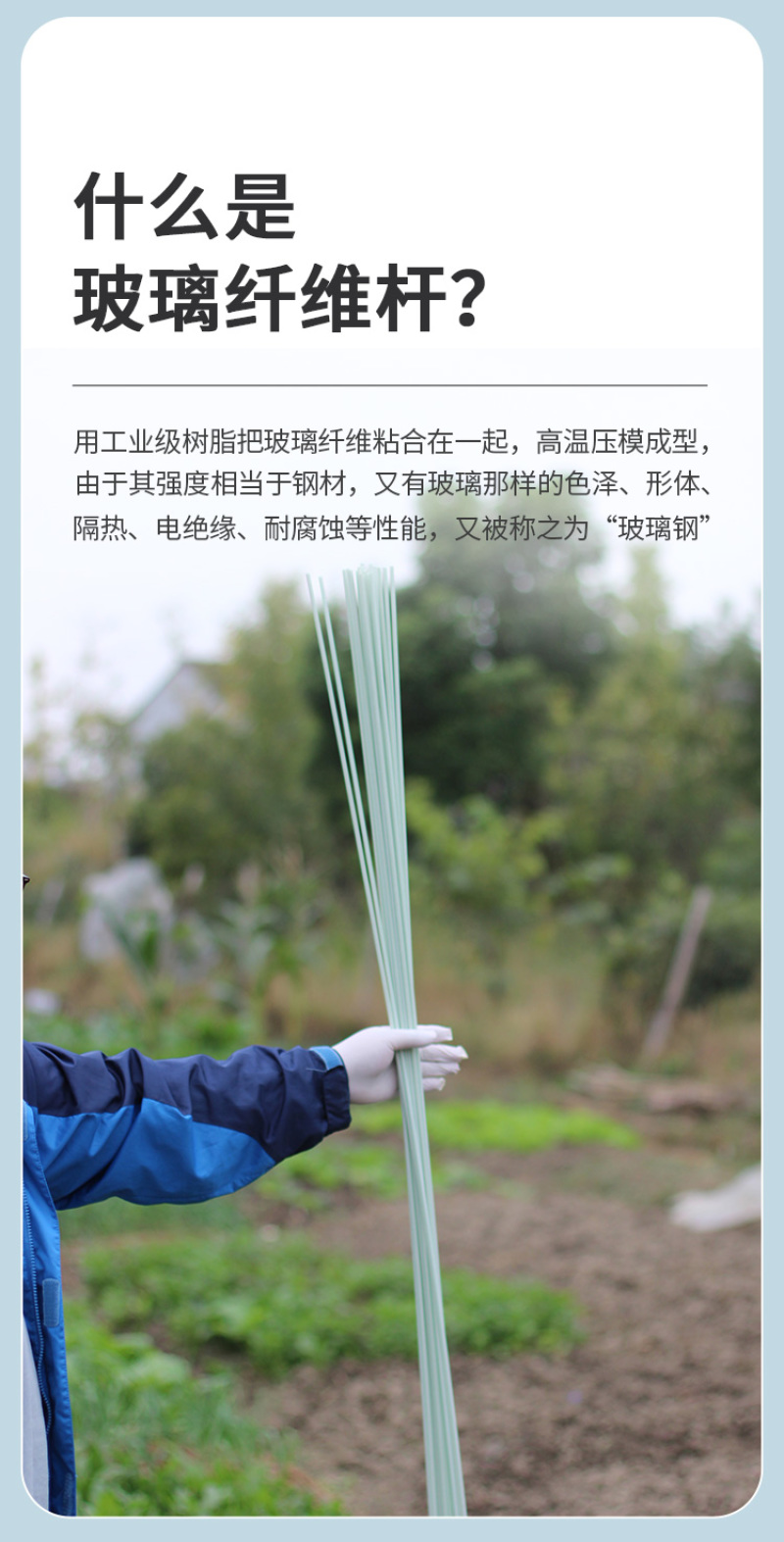 工厂直发玻璃纤维杆弓子植物爬藤架可反复使用10-20年