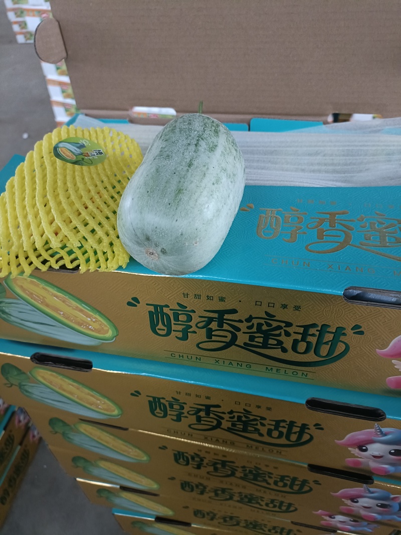 绿宝博洋星甜羊角密金冠绿美人蜜园十八