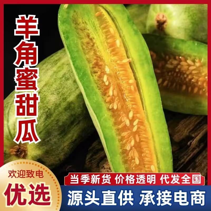山东羊角蜜甜瓜一件代发社区团购产地直发对接全网电商