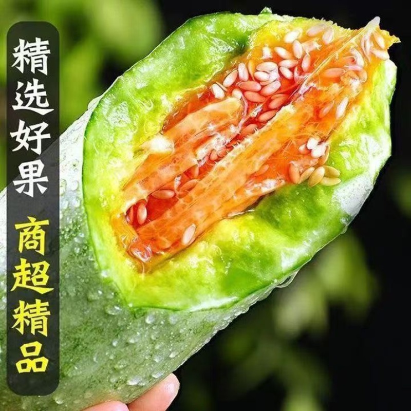 山东羊角蜜甜瓜一件代发产地直发质量保证对接全网电商