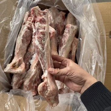 羊后金刚30斤单个1斤左右现货现发