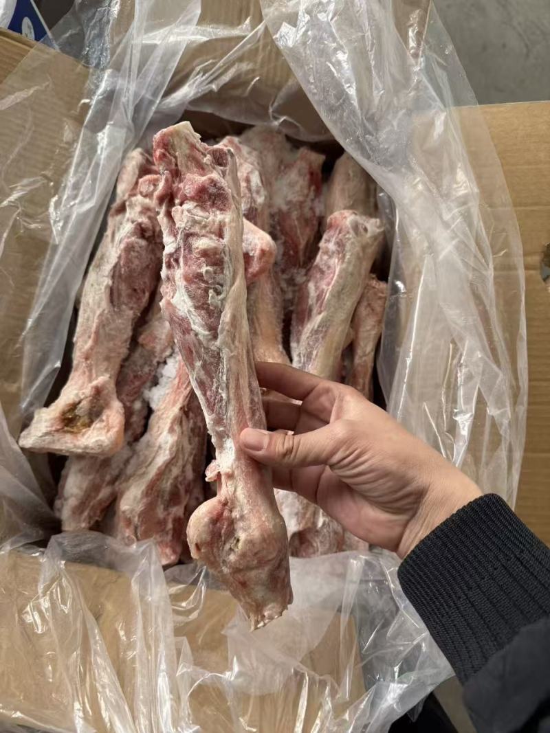 羊后金刚30斤单个1斤左右现货现发