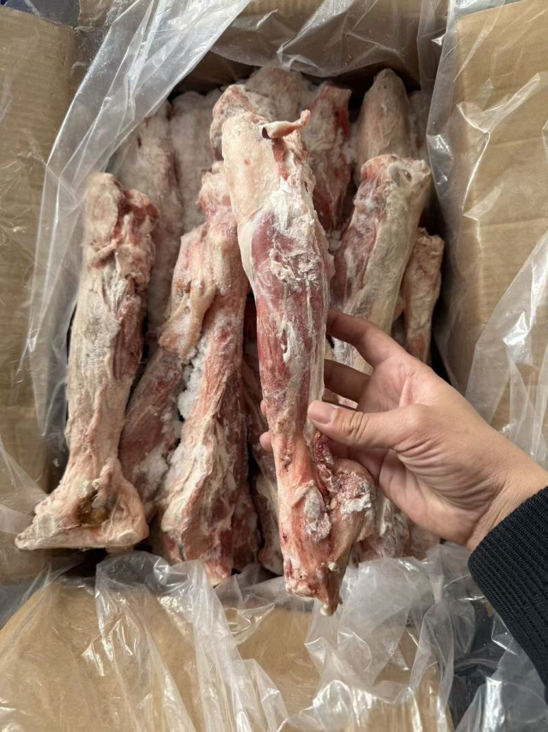 羊后金刚30斤单个1斤左右现货现发