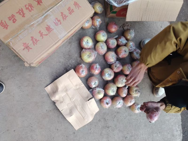 红富士苹果冷库货，皮薄脆甜，货源充足，适合库存