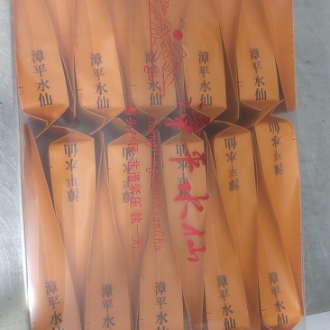 漳平水仙茶饼