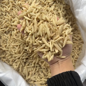 麦冬