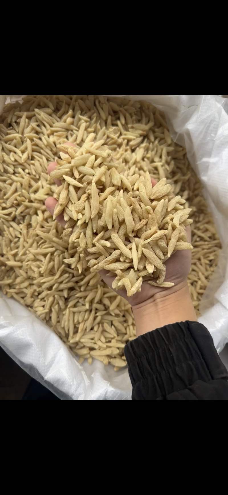 麦冬