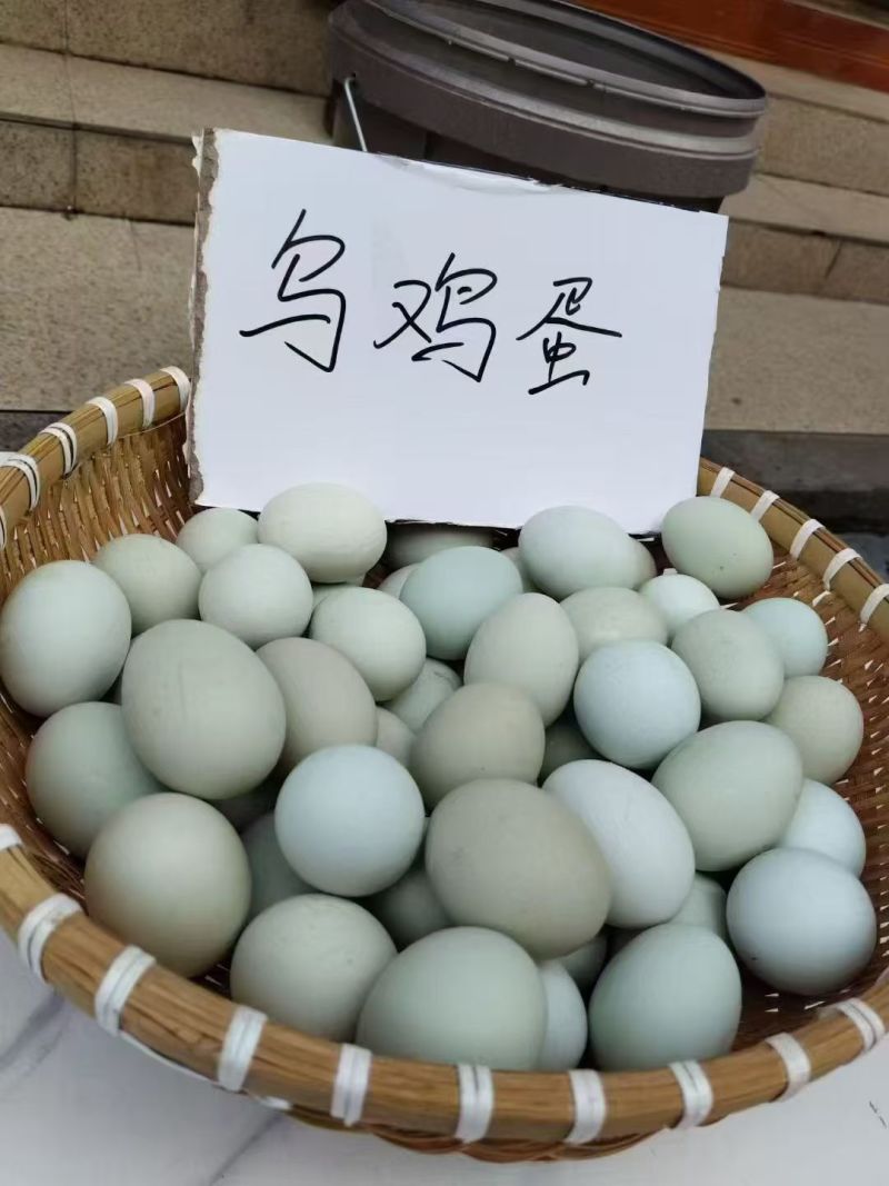 乌鸡蛋出售