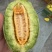 博洋9甜瓜