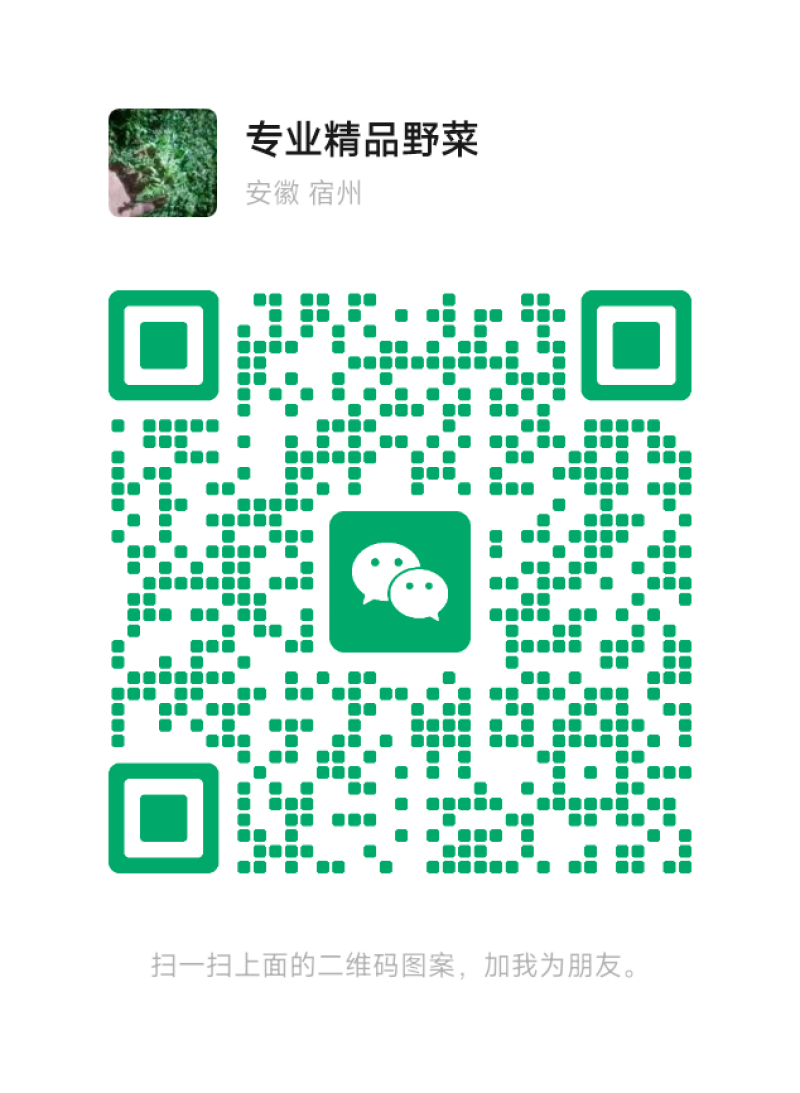 纯野生荠菜，荒地野菜，懂货的来