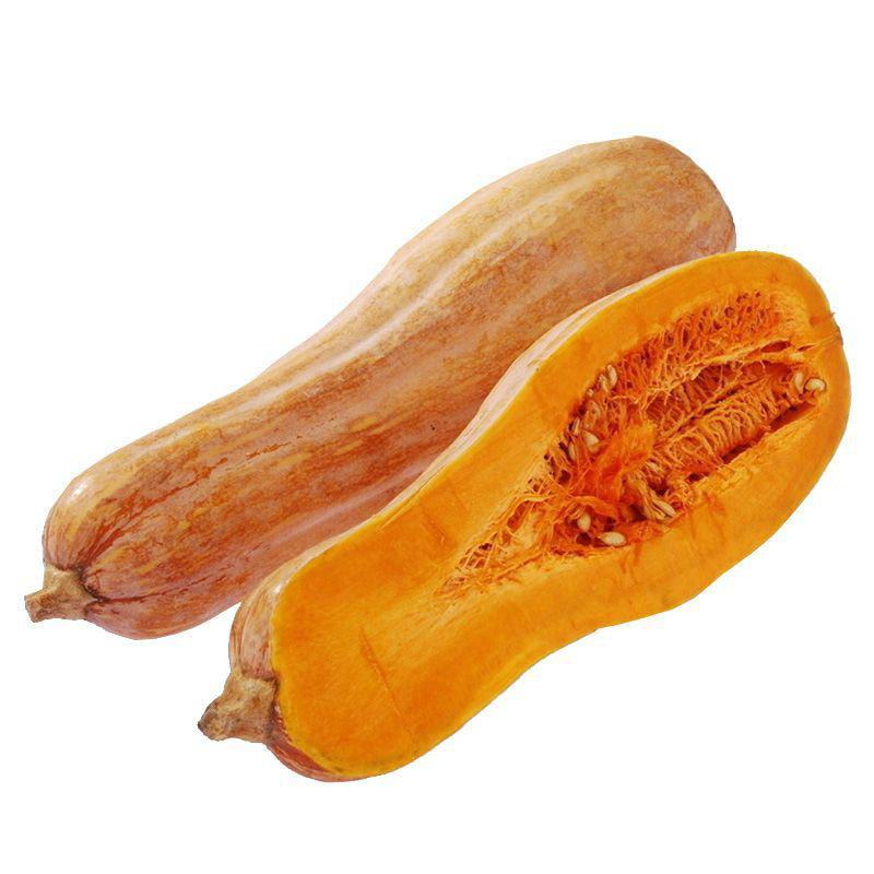 早栗蜜本南瓜种子超甜超粉面蜜早南瓜籽早熟高产香糯四季蔬菜