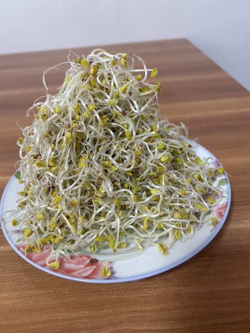 萝卜芽苗菜