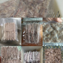 皮皮虾肉每个皮皮虾都是精挑细选大肥虾壳薄肉多