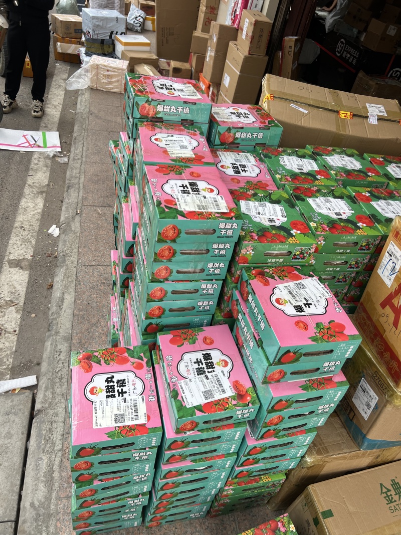 电白千禧圣女果产地直发代办