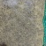 杜仲雄花地道药材2斤包邮泡水量大优惠